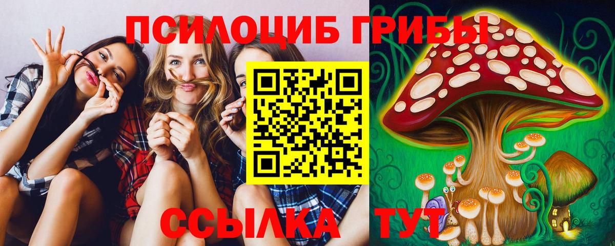 Галлюциногенные грибы Cubensis Наро-Фоминск